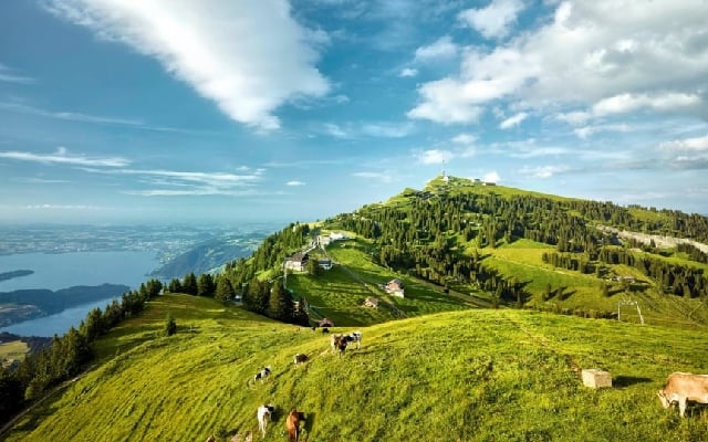 Chiêm ngưỡng toàn cảnh vẻ đẹp núi Rigi khi đi tour du lịch Thuỵ Sĩ