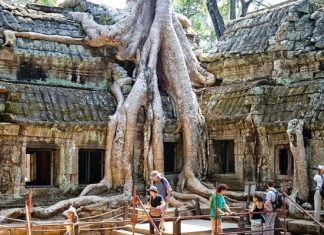Khám phá đền Ta Prohm Campuchia, ngôi đền bí ẩn với những rễ cây kì dị Khám phá đền Ta Prohm Campuchia, ngôi đền bí ẩn với những rễ cây kì dị